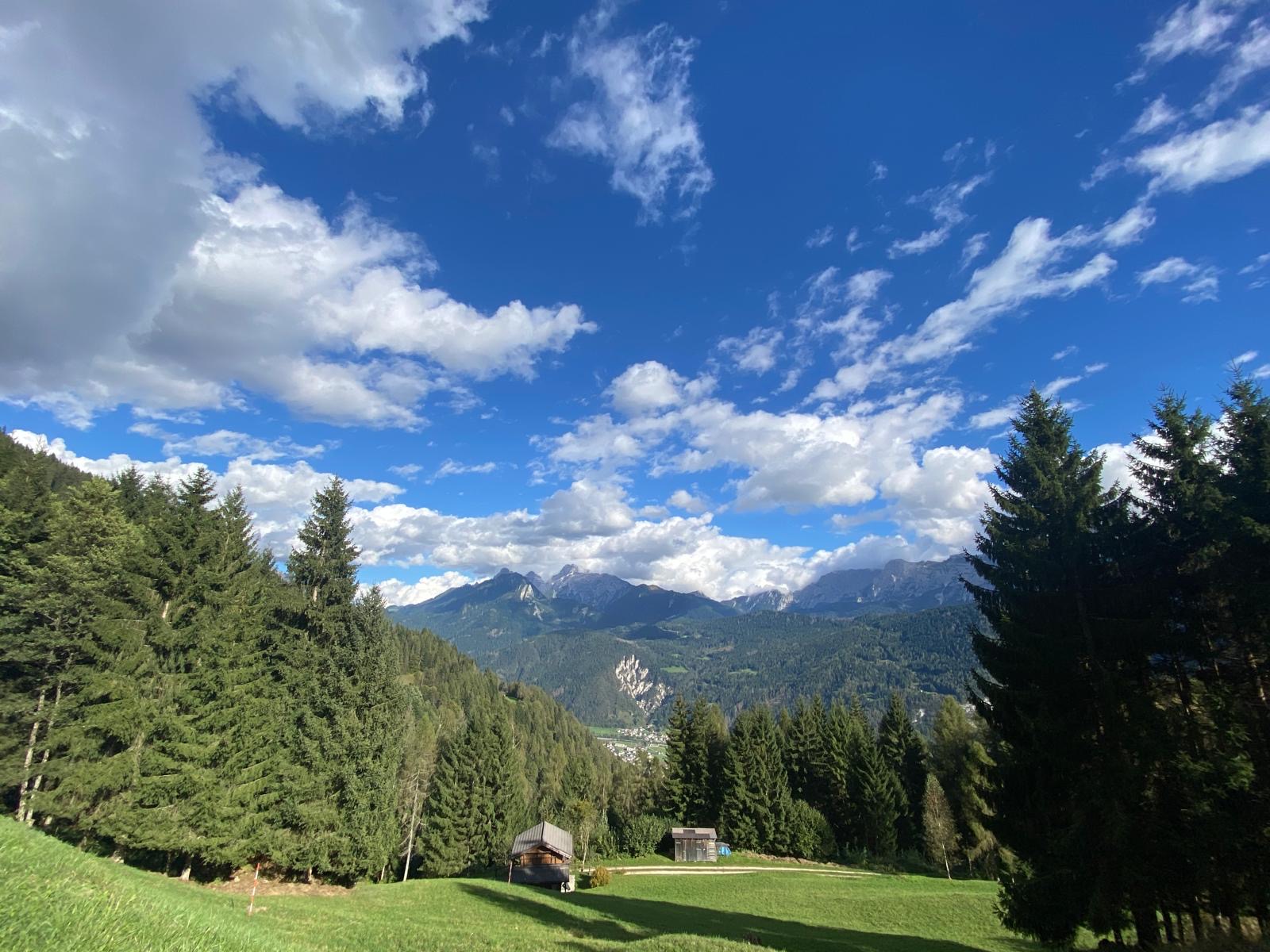 31bcd783-dad4-4369-91a0-a05ddad218d7