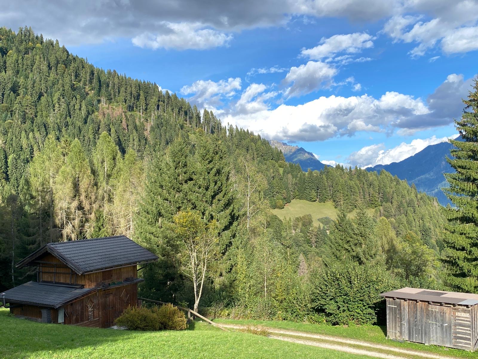 31cfa35d-21e2-4c14-aa4d-56d1b1c3388b