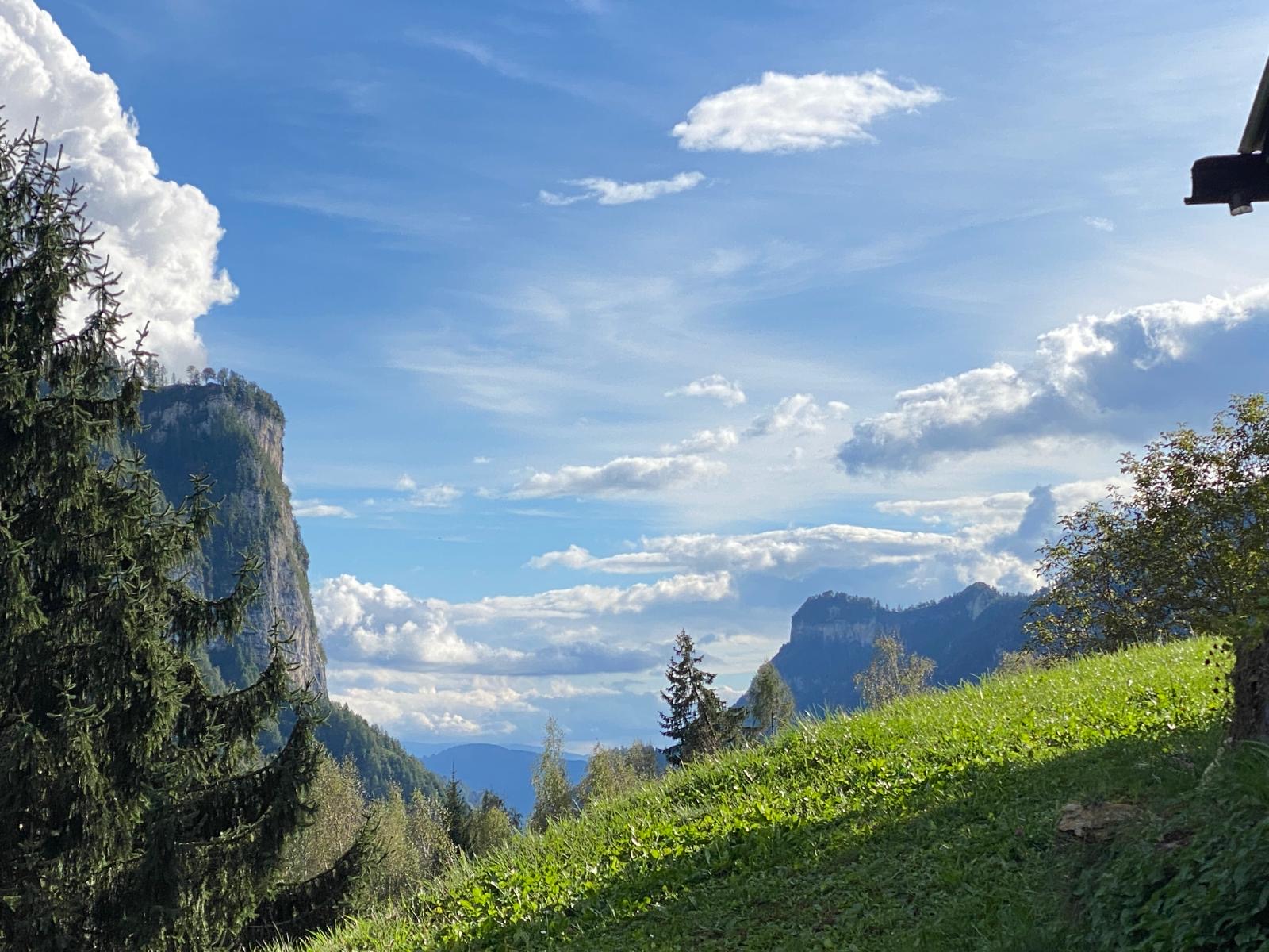 434eff31-d06a-437f-9aa1-c4122d142817