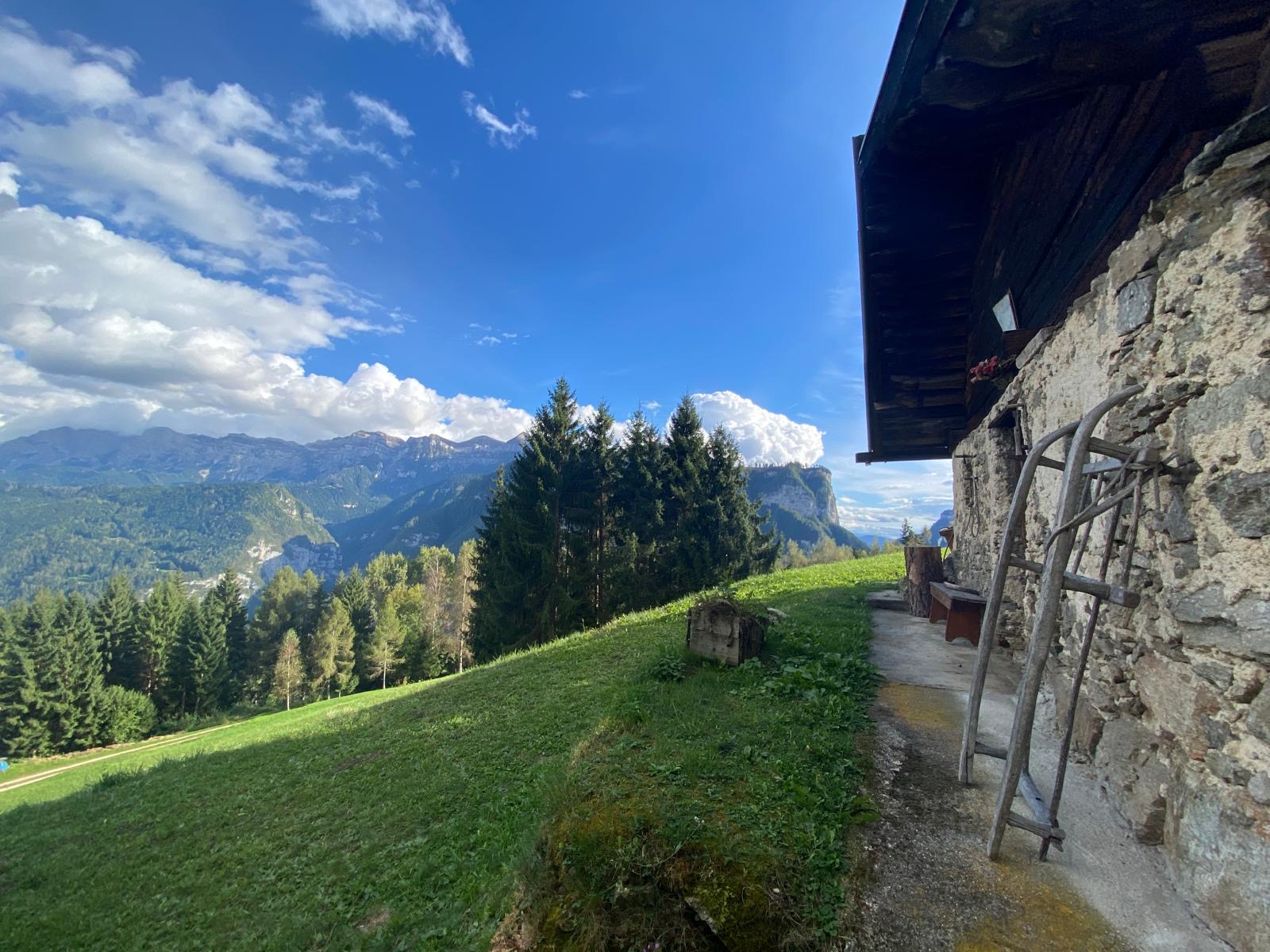 7b59a8c8-452b-4665-97f7-607b8ab6fef0