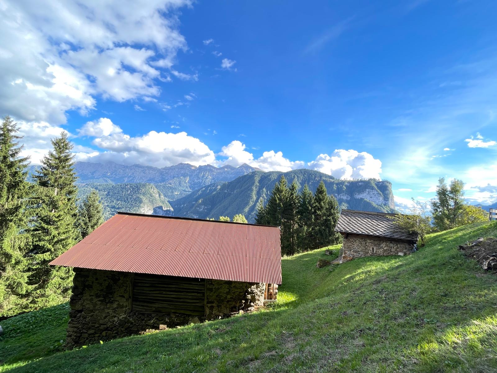 95f23969-eccd-4a11-94c9-eb03f91d8d5c