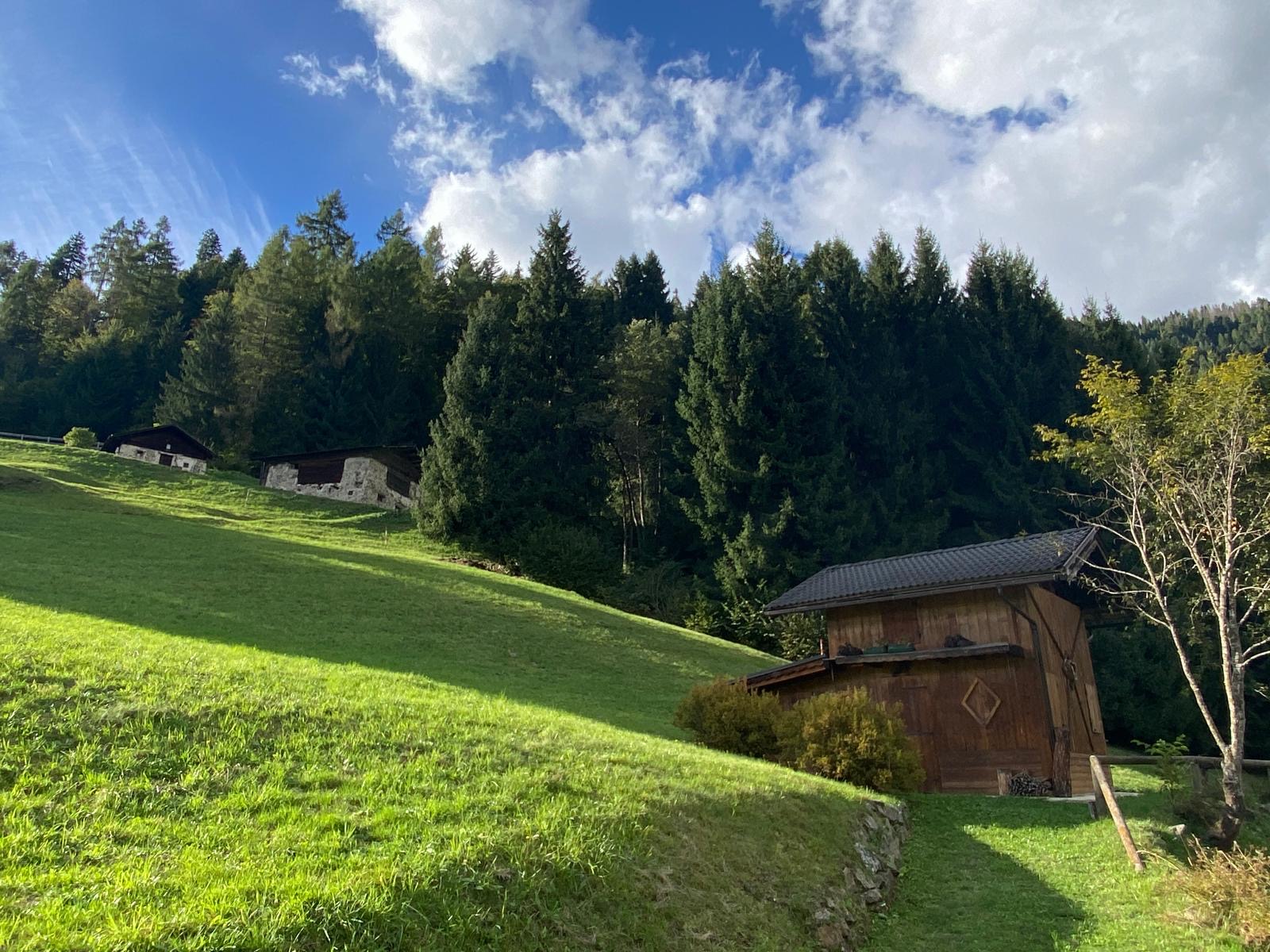 99bc4c9b-33ae-4a21-a313-70533fc5a74b