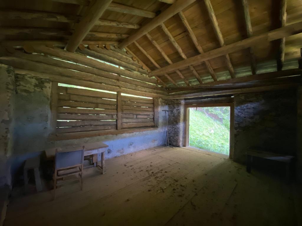 PHOTO-2023-08-08-21-37-04 3