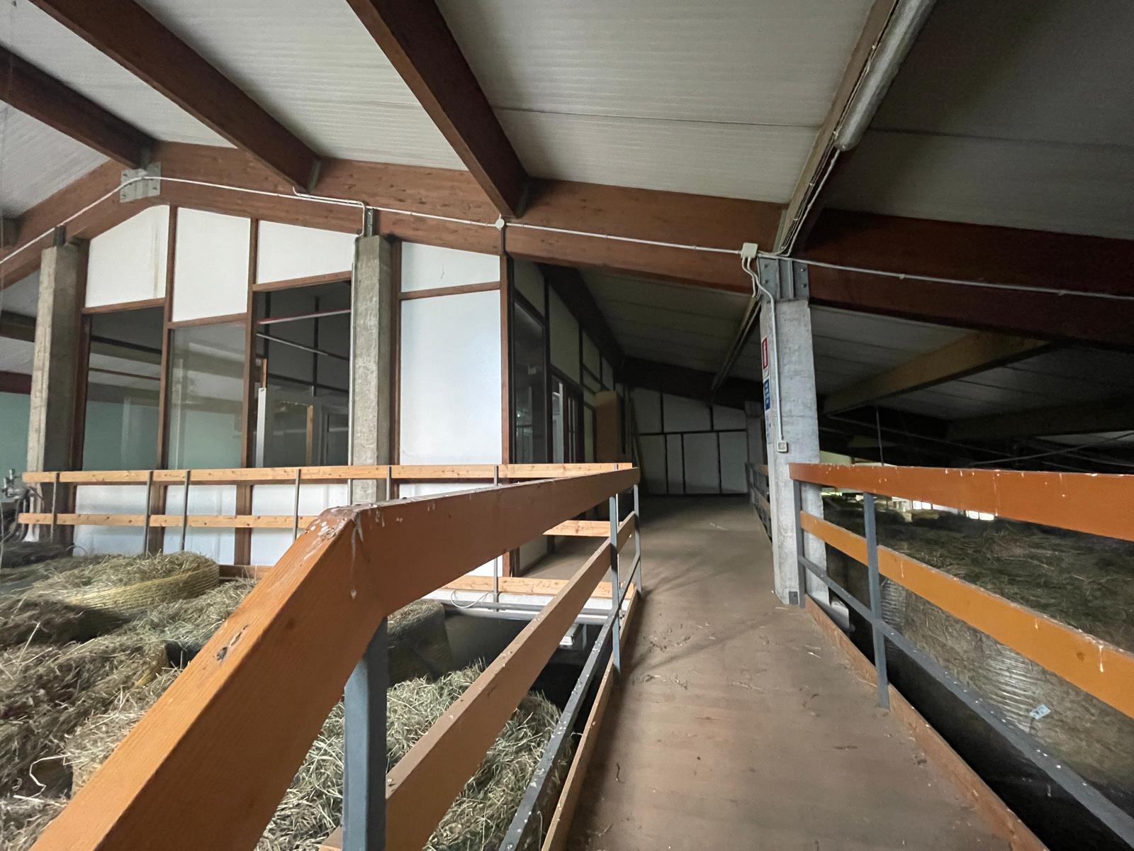 PHOTO-2024-10-16-10-54-59 12